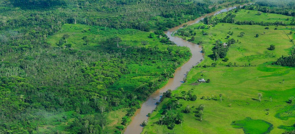COP30: Brazil Launches Global Fund to Put Forest Protection at the Core of Climate Action 1 India CSR