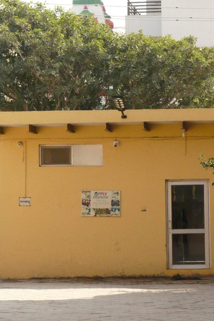 CSR: Dylect Installs Solar Street Lights in Vrindavan to Support Girls’ Education 3 CSR: Dylect Installs Solar Street Lights in Vrindavan to Support Girls’ Education