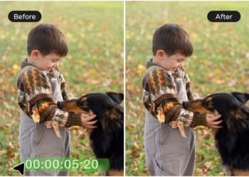 Video Watermark Remover