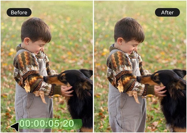 Video Watermark Remover