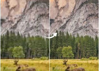 Airbrush Moves Beyond Mobile With a Desktop Editor