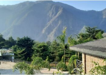 The True Importance of Retreats in Health and Wellness