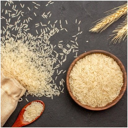 Karan A. Chanana: The Global Visionary Redefining the Food Industry 1 Food Industry