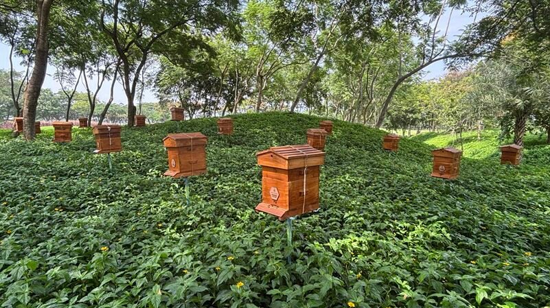 How Prestige Group is Integrating Biodiversity into Urban Development 3 India CSR