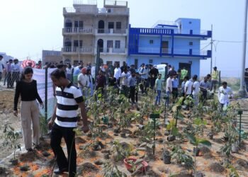 CSR: PNB Housing Finance Plants 1 Lakh Trees in Greater Noida