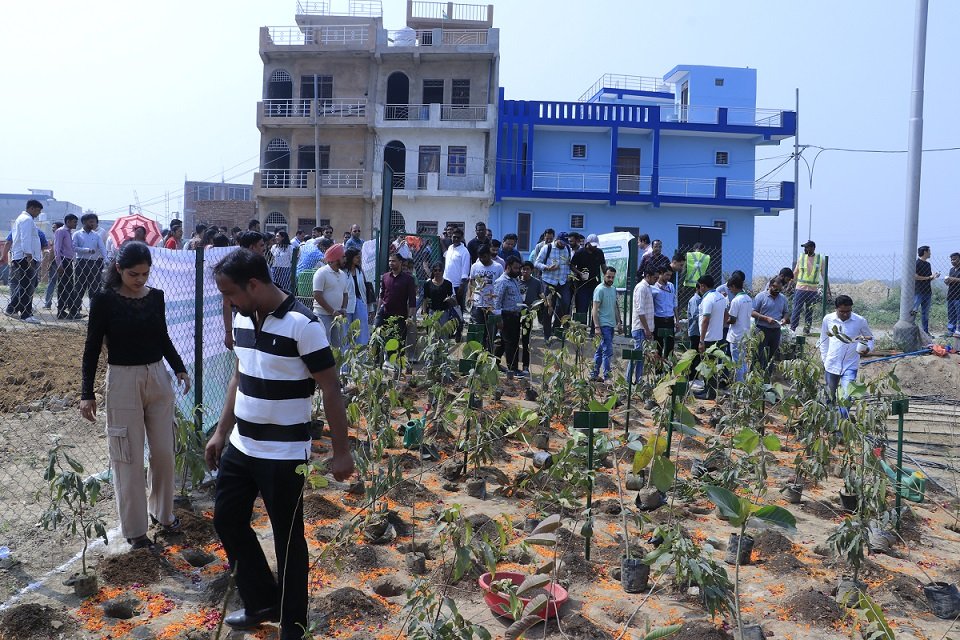 CSR: PNB Housing Finance Plants 1 Lakh Trees in Greater Noida