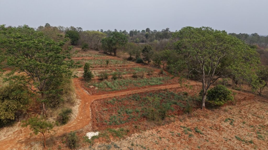 How Prestige Group is Integrating Biodiversity into Urban Development 5 India CSR