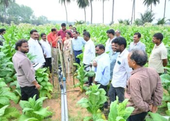 CSR: Elitecon Drives Smart, Sustainable Agriculture Initiative with ICAR-NIRCA