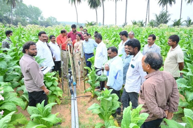 CSR: Elitecon Drives Smart, Sustainable Agriculture Initiative with ICAR-NIRCA