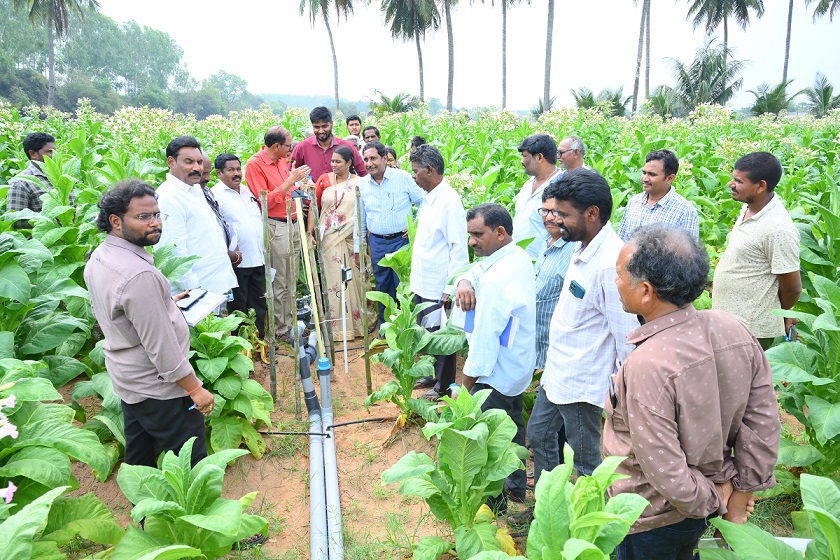CSR: Elitecon Drives Smart, Sustainable Agriculture Initiative with ICAR-NIRCA 1 CSR: Elitecon Drives Smart, Sustainable Agriculture Initiative with ICAR-NIRCA