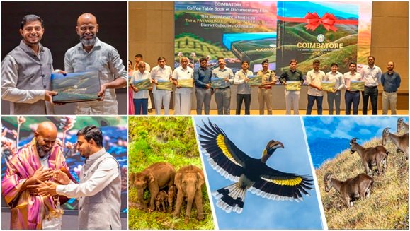 Indigenous graphic designer working in a vibrant co-working space, showcasing the integration of traditional roots with contemporary design. Emphasize the modernity and creativity in the workspace. Realistic, cinematic photo, photography, cinematic tones --ar 16:9 --v 5.2 Job ID: a644374d-930c-4a5d-a5c1-7caec760a386