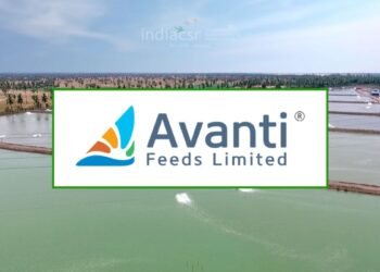 Avanti Feeds