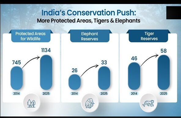 India CSR