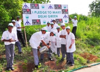 Balancing Modern Luxury with Environmental Responsibility