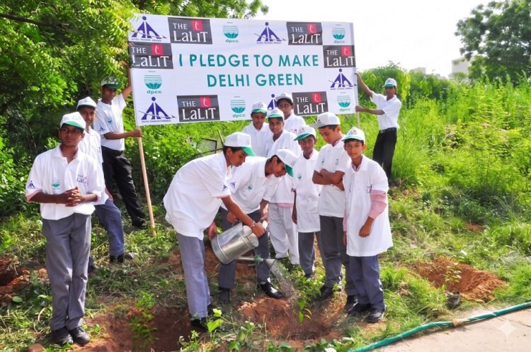 Balancing Modern Luxury with Environmental Responsibility