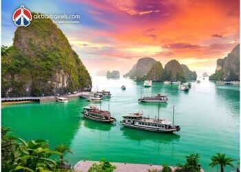 fire-beast-energy-drink-rs-69-demand-maharashtra-up