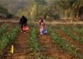 India CSR