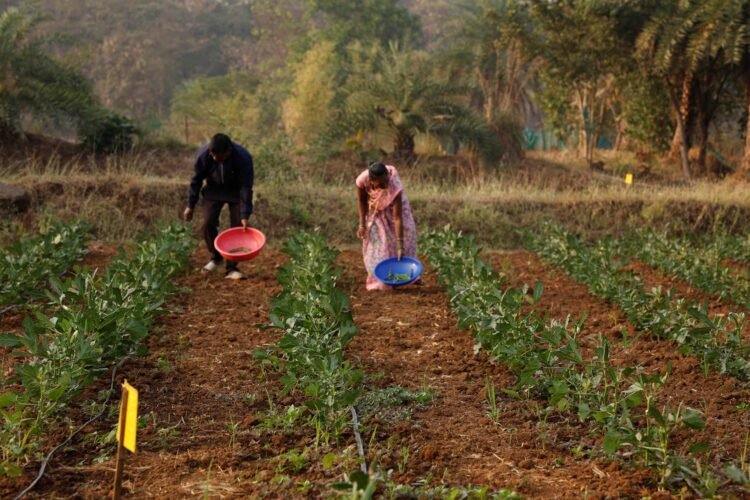 India CSR