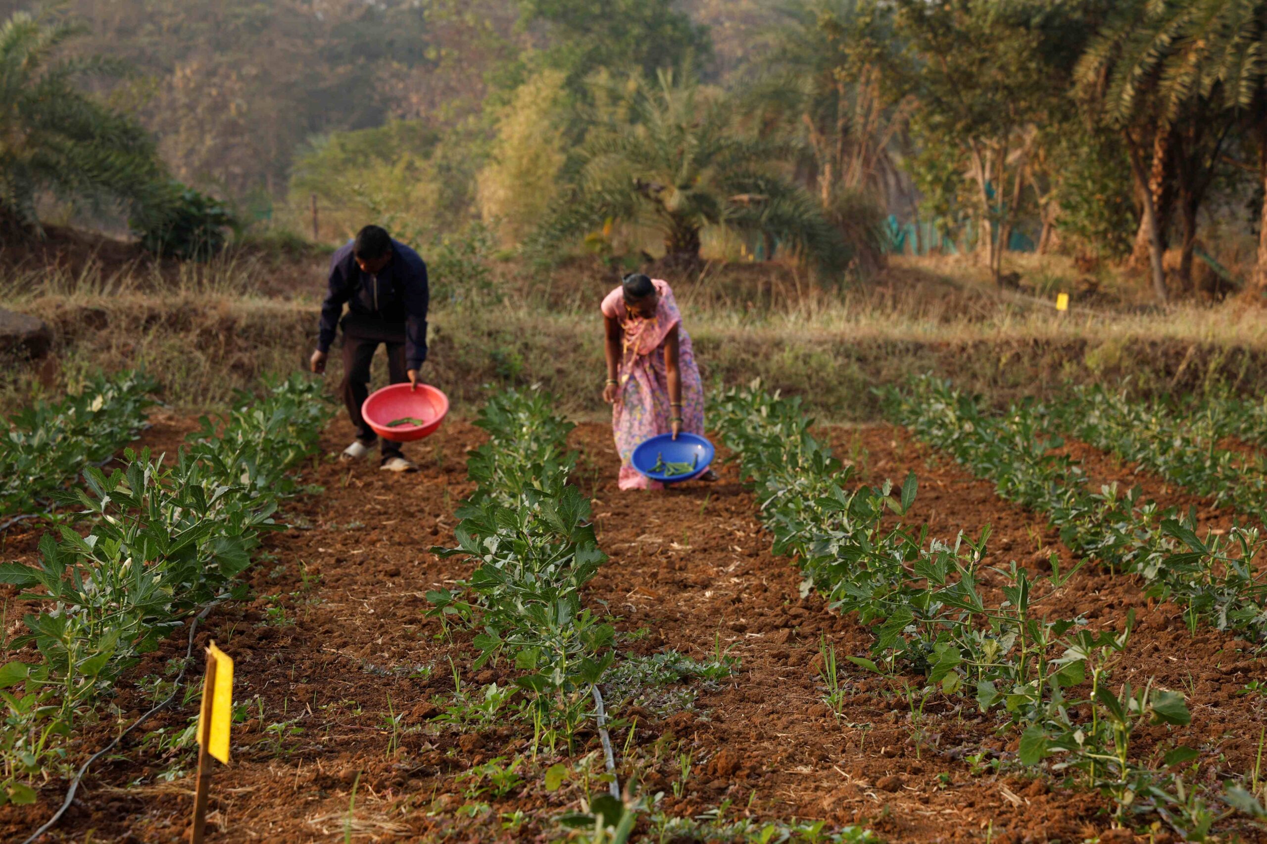Tata Motors Foundation CSR-led Integrated Village Development Programme now reaches 200 villages 1 India CSR