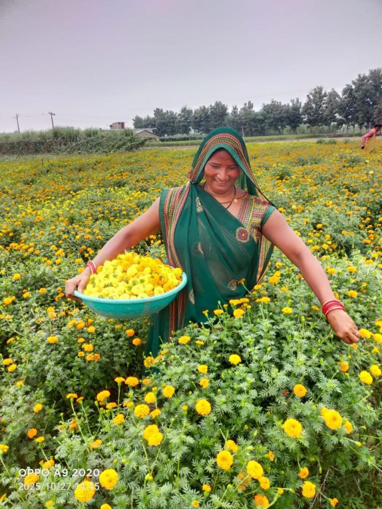 CSR: Ambuja Foundation, HDFC Boost Sustainable Floriculture in Varanasi 3 India CSR