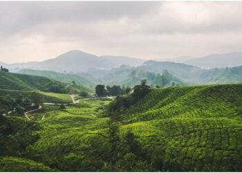 Indian Travellers Turn to Offbeat Domestic Destinations Amid Global Uncertainty and Rising Travel Costs