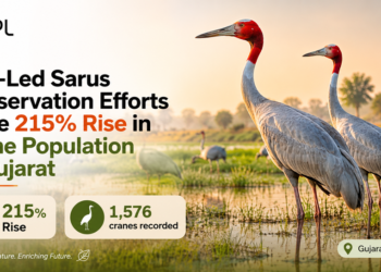 CSR: UPL’s Decade-Long Biodiversity Program Boosts Sarus Crane Count to 1,576 in Gujarat