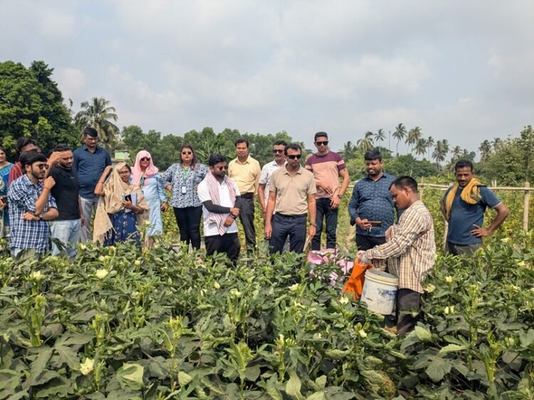 India CSR