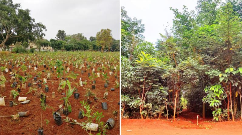 Fidelity Cares 180,000 Saplings, 20 Mini Forests and 300 Recharge Wells 2 India CSR