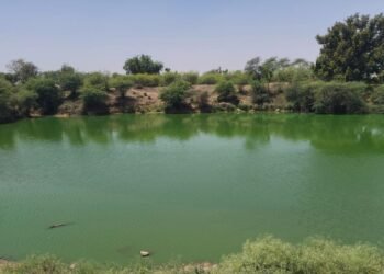 Pond Restoration in Pur Village of Rajashtan. Image: India CSR