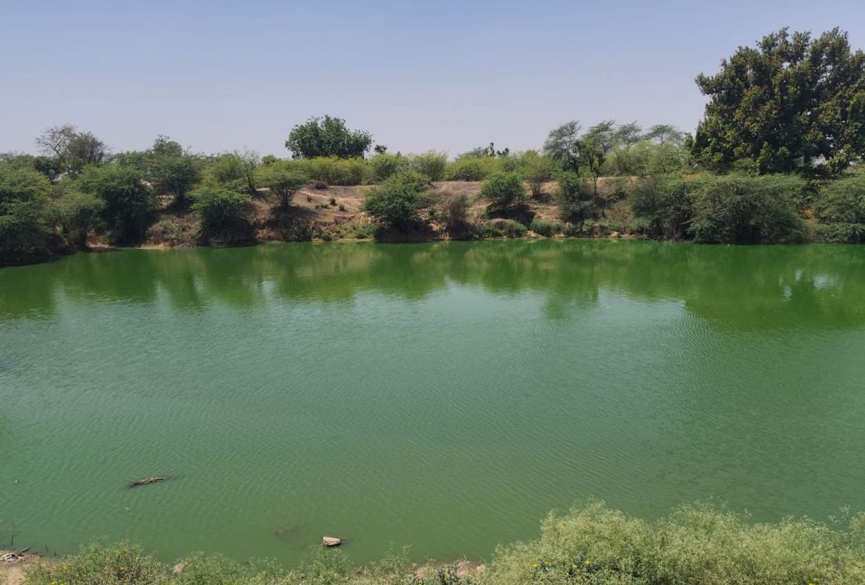 CSR: Siegwerk Restores 11-Acre Pond, Boosting Water Security and Village Life in Rajasthan 1 Pond Restoration in Pur Village of Rajashtan. Image: India CSR