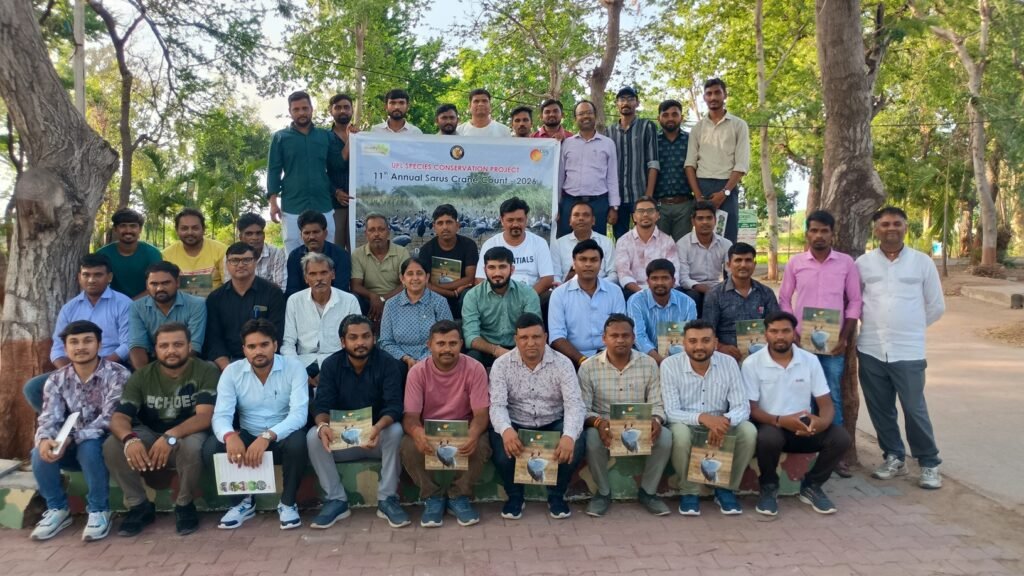 India CSR