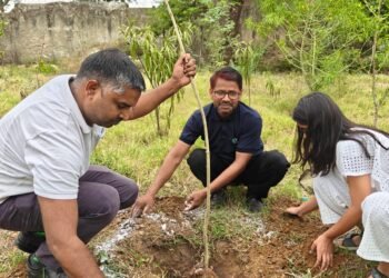 Beyond Planting Trees: The Community Ownership Model Behind M3M Foundation's 83% Tree Survival Success