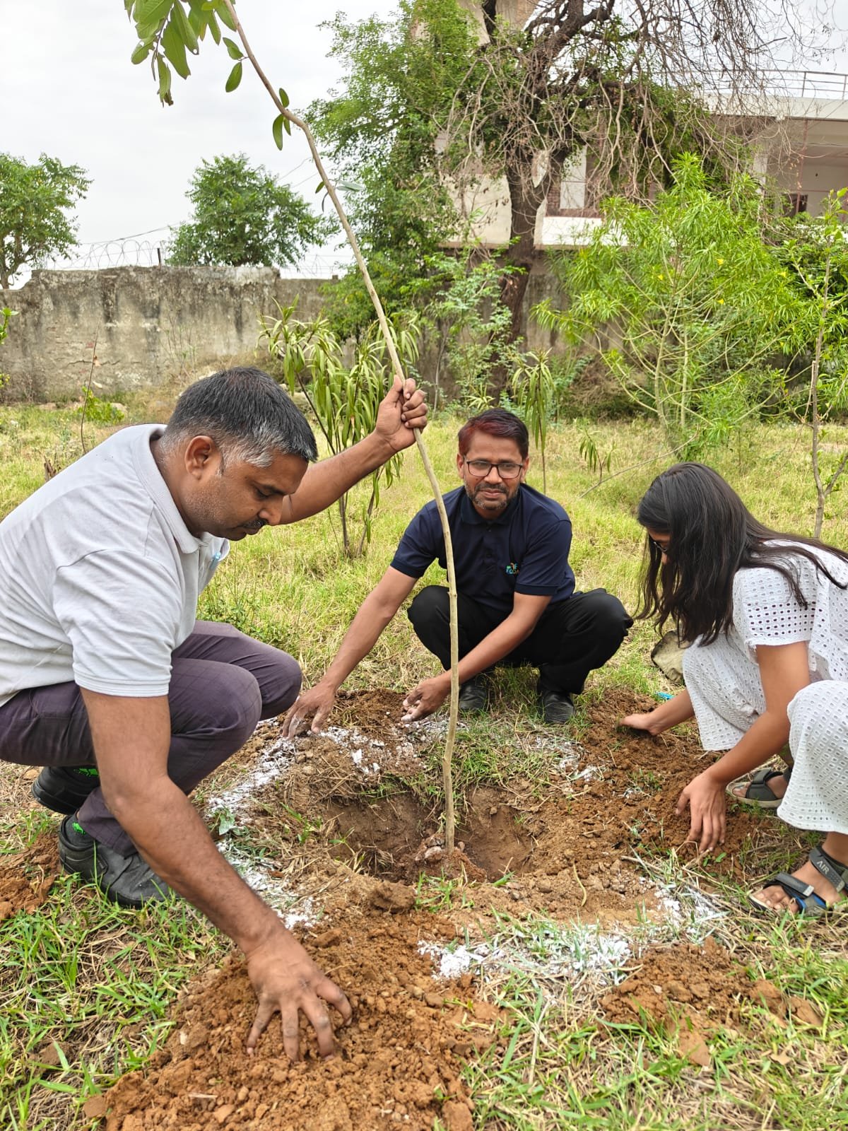 Beyond Planting Trees: The Community Ownership Model Behind M3M Foundation’s 83% Tree Survival Success