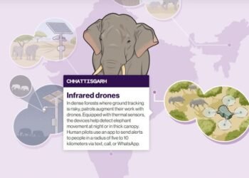 America’s MIT Spotlights Chhattisgarh’s AI Elephant Alert System