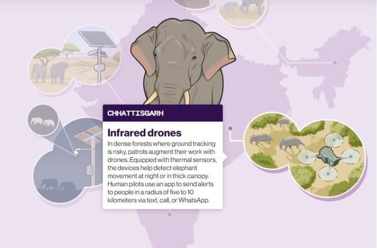 America's MIT Spotlights Chhattisgarh’s AI Elephant Alert System 1 India CSR