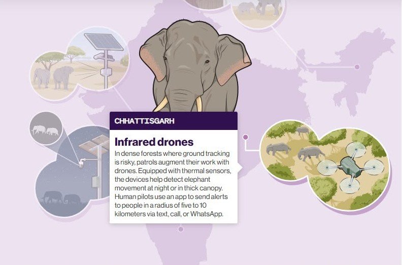 America’s MIT Spotlights Chhattisgarh’s AI Elephant Alert System