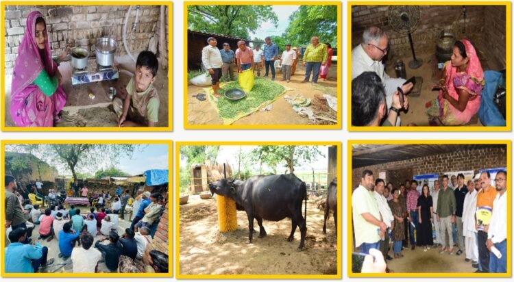 How Nova Dairy is Turning Climate Action into Farmer Income 1 India CSR