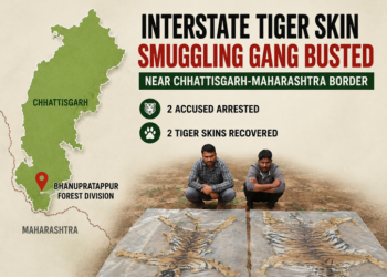 Tiger Skin Smuggling Racket Busted in Chhattisgarh