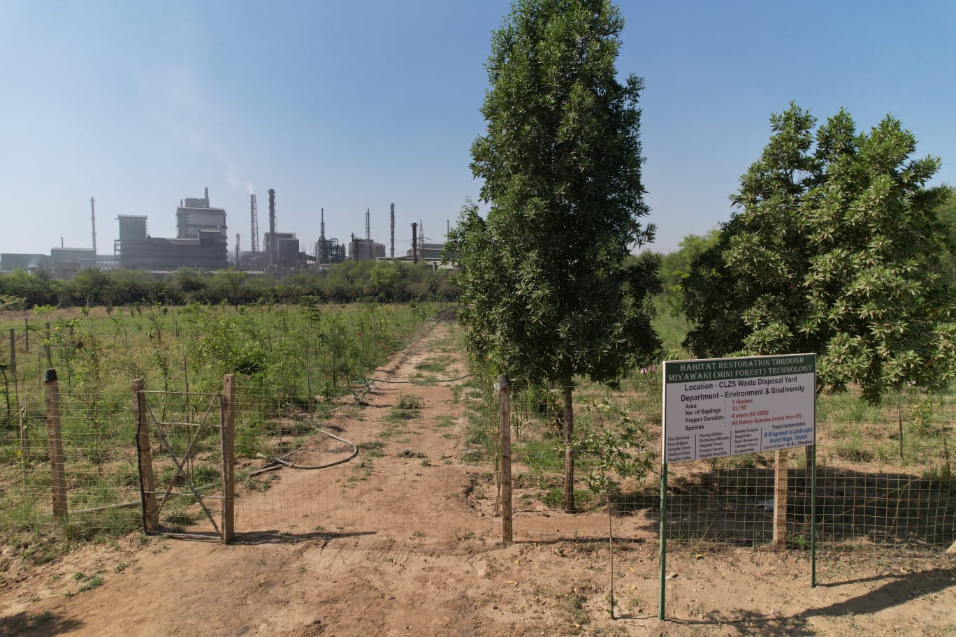 Hindustan Zinc crosses 8.55 Lakh Plantations Since 2020 1 India CSR