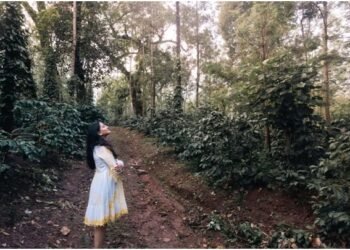 Wake Up Inside a Working Coffee Plantation: Why The Silver Sky Is Rewriting What a Weekend Escape Looks Like