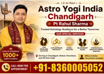 Best Astrologer in Chandigarh - Astro Yogi India Chandigarh