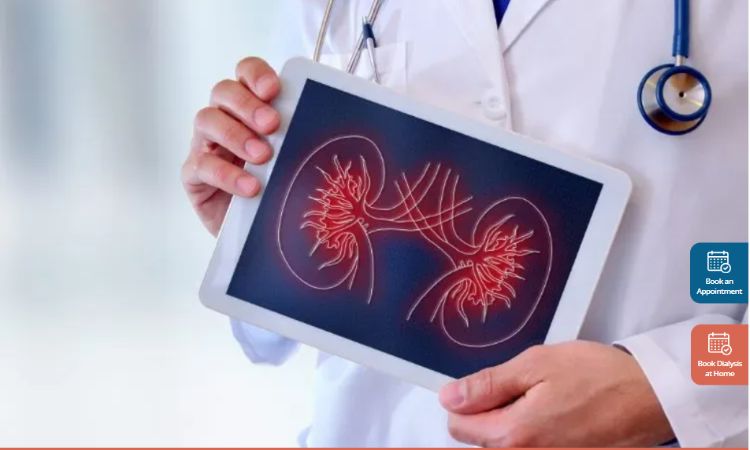 Dialysis Procedure Explained: Steps, Duration and Aftercare 1 India CSR