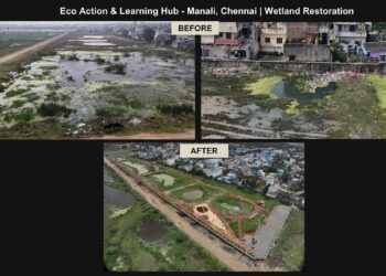 CSR: Accenture Supports Eco Action and Learning Hub for Wetland Restoration in Chennai