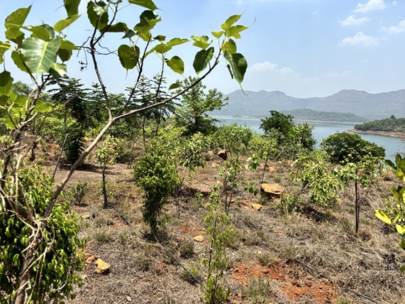 India CSR