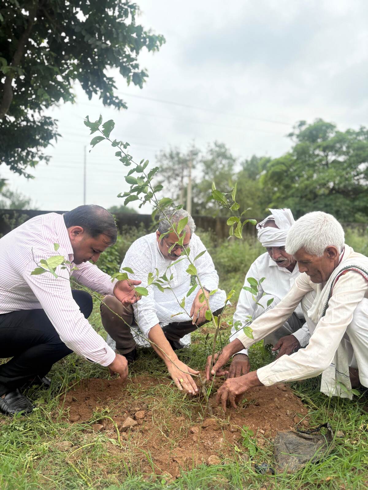 CSR: M3M Foundation Turns Commonwealth Games Glory into a Green Legacy Across Gurugram