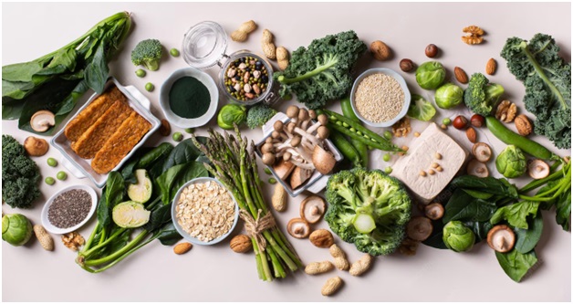 The Ultimate Checklist for Choosing a High-Quality Plant-Based Protein 1 India CSR