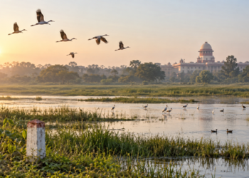 Soor Sarovar Sanctuary. AI Generated Image. India CSR
