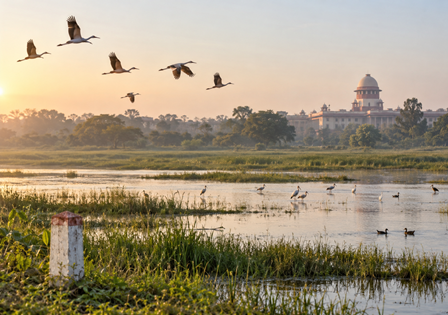 Soor Sarovar Sanctuary. AI Generated Image. India CSR