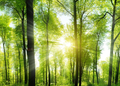 Net-Zero Funding Gap: Sustainability