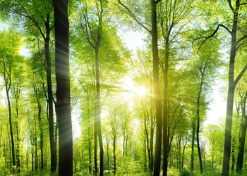 Net-Zero Funding Gap: Sustainability
